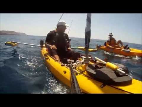 Motor Rhino cobold 18 LBS vs Mirage driver