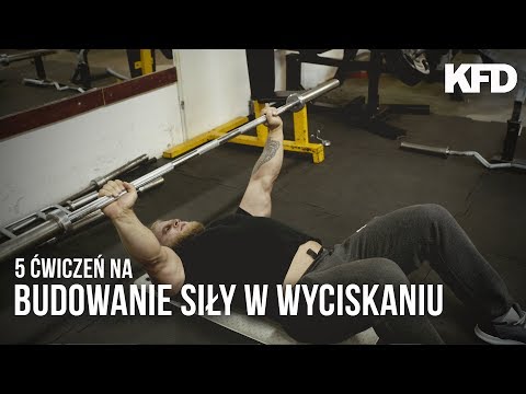 Jak prawidłowo prowadzić na eliptycznego trenerem budować mięśnie Programy standardowe dla kulturystyki