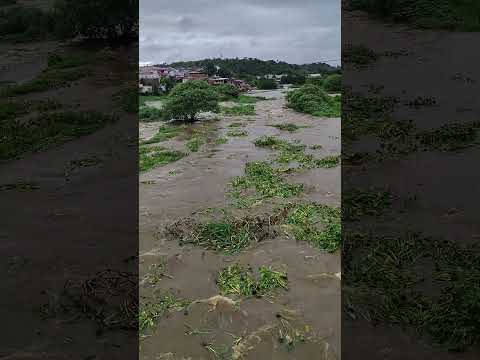 #Cheia do rio Jaguaripe em Nazaré,  Bahia #