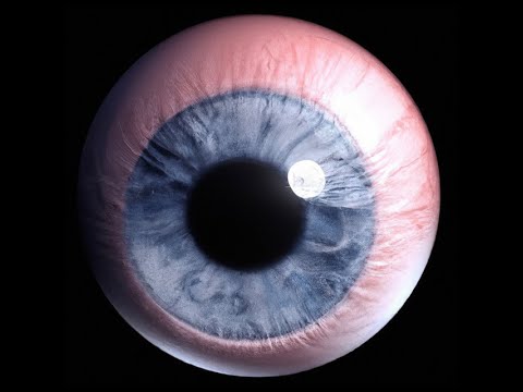 DeVault & Tommy Genesis, Slayyyter - Never Like Me 'Audio'