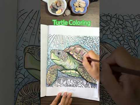 Sea Turtle Page coloring video thumbnail