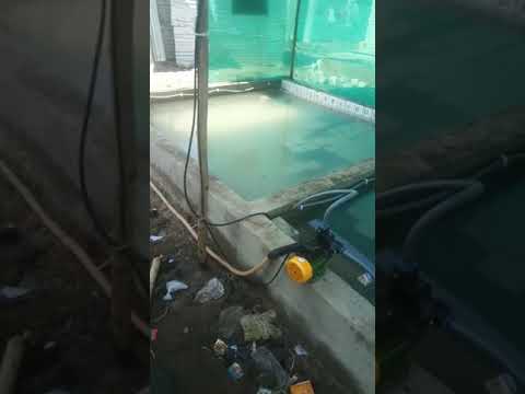 Accelerated Curing Tank