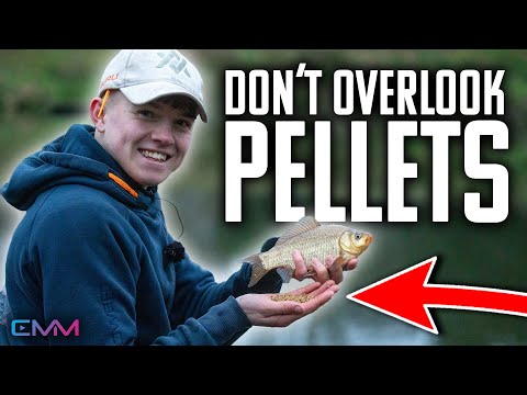 THIS video will catch you MORE FISH!