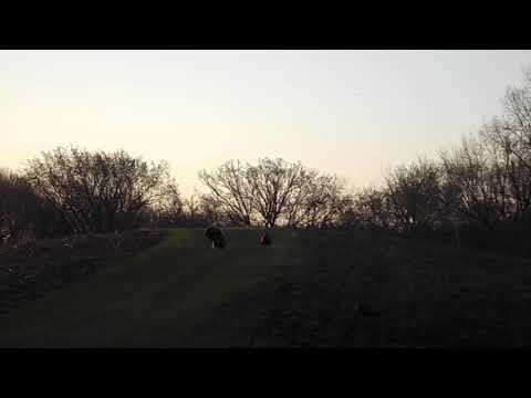 2018 Wisconsin Turkey Hunt(Gobbler Down!)
