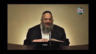 חוק לישראל - פרשת וזאת הברכה - יום שלישי | הרב שלמה לוינשטיין (ארגון קול הלשון) - התמונה מוצגת ישירות מתוך אתר האינטרנט יוטיוב. זכויות היוצרים בתמונה שייכות ליוצרה. קישור קרדיט למקור התוכן נמצא בתוך דף הסרטון חוק לישראל - פרשת וזאת הברכה - יום שלישי | הרב שלמה לוינשטיין (ארגון קול הלשון) - התמונה מוצגת ישירות מתוך אתר האינטרנט יוטיוב. זכויות היוצרים בתמונה שייכות ליוצרה. קישור קרדיט למקור התוכן נמצא בתוך דף הסרטון