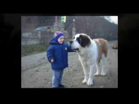 Bucovina - The Land Of Tranquility