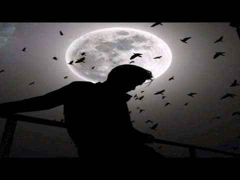 Nimbus 1.1k view cool music 🎼🎼🎼 ( Slowly + lyrics + loft)_______________________________