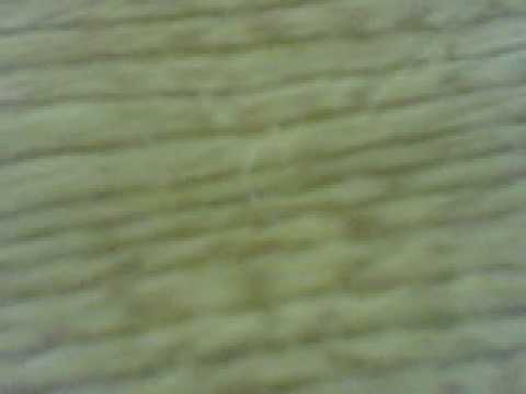 columbus telugu song