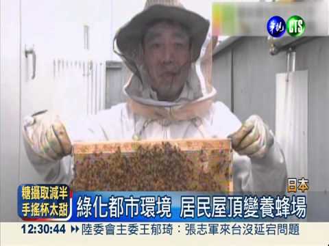 社區屋頂養蜜蜂 保育.美食兼具