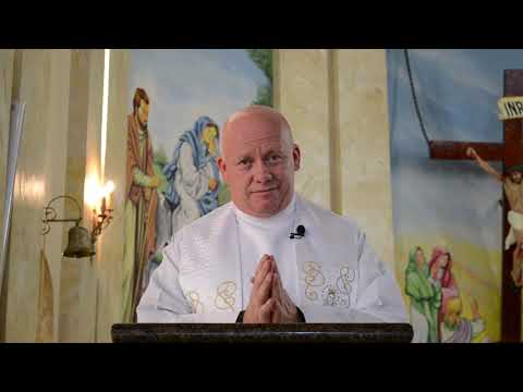 Momento do Evangelho | 24-06-2020