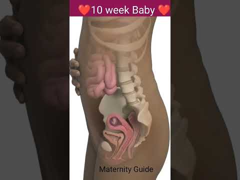 10 weeks baby #viral #trending #pregnancy #youtube #baby