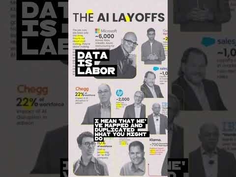 The #AI #Layoffs begin, as companies turn your #data into labor. Your #dataislabor dataislabor.com