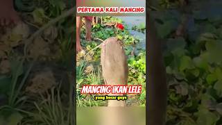 Download lagu First time fishing, got a big catfish‼️ #fishing mp3 Download lagu First time fishing, got a big catfish‼️ #fishing mp3