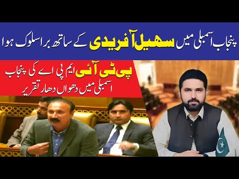 پی ٹی آئی نے پنجاب اسمبلی میں حکومت کو آئینہ دکھا دیا