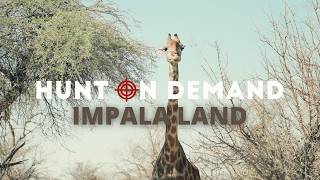 Impala Land 🇳🇦 Namibia Teil 1 von @bergnbeef