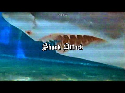 oddy nuff da snow leopard - $hark attack (перевод/lyrics/rus subs)