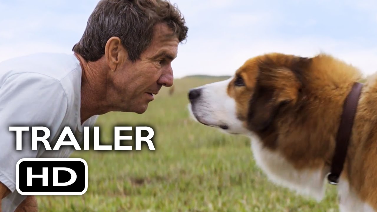 Trailer oficial de Quatro Vidas de um Cachorro