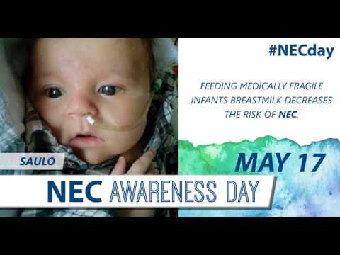 World NEC Day 2018