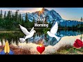 Good Morning WhatsApp Status Video