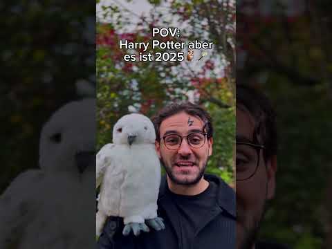 Die PRÜGELEI und HAGRID am ENDE🤣🤣😱