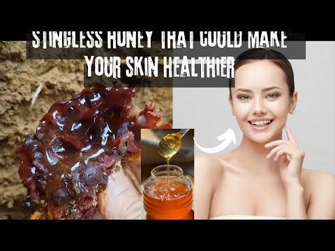 Stingless honey Harvesting , BUSHCRAFT, fishing, hunting, trapping, survival skill, CAMPING