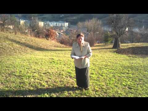 Te preamarim Isuse doamne Daniela Danciu