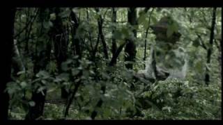 Aftershock: Beyond the Civil War (8 of 9)