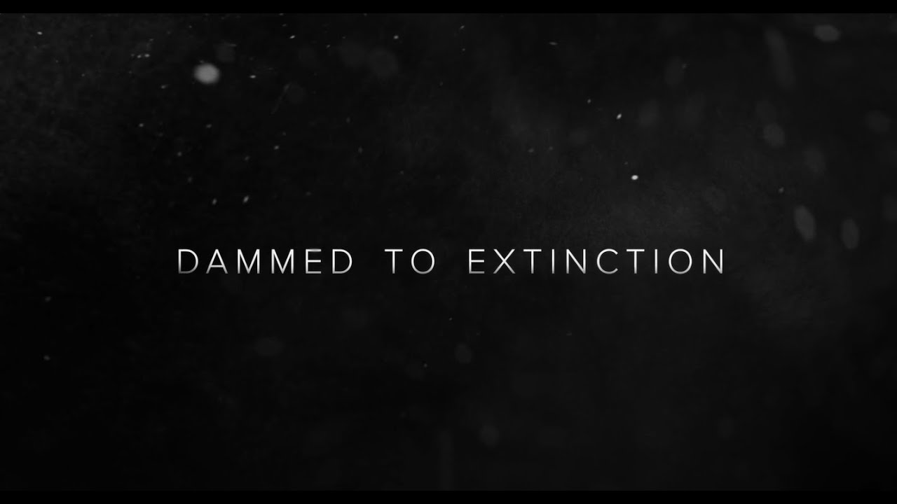 Dammed to Extinction - Official Trailer