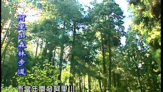 走在台灣的脊樑上【第 9 集】阿里山森林遊樂區步道
