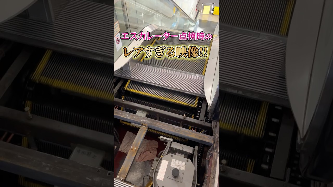 エスカレーターのこんなところが丸見え…！ #shorts #shortvideo