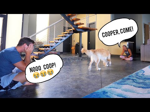Testing Who Our Dog Loves More.. *SHOCKING*