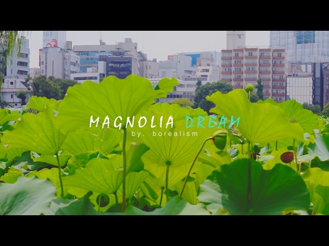 Magnolia Dream - Borealism [Music Video]
