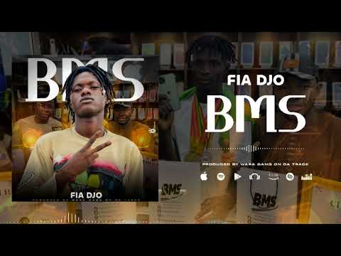Fia Djo_BMS_2K