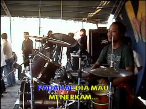 monata kucing mandung