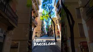Walking Beautiful Barcelona #walkingtour #streetlife #barcelona #spain