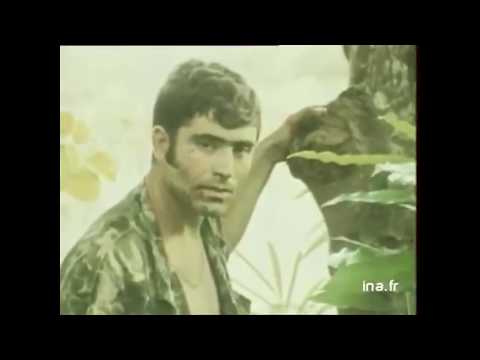 Portuguese Colonial War (The Less I Know the Better - Tame Impala)