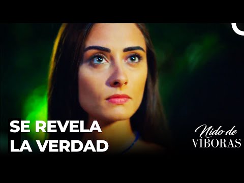 Elvan Se Enteró Del Secreto - Nido De Víboras Capitulo 14 (Dobladas en Español)