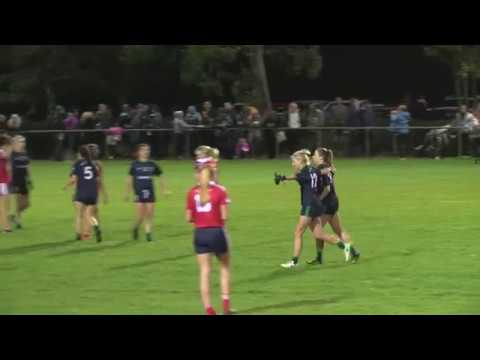 Foxrock Cabinteely 1-13 St Brigid's 0-7