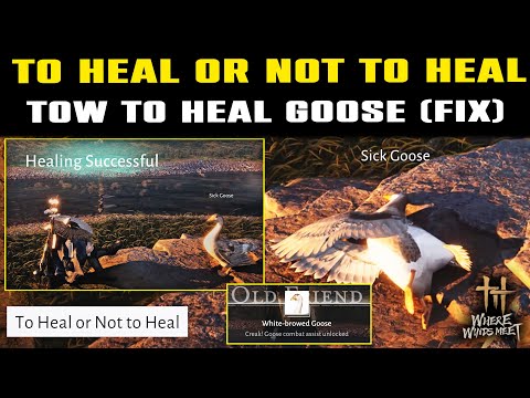 HEAL Sick Goose Guide Explained (Fixed) | TO HEAL OR NOT TO HEAL Quest Guide | Where Winds Meet
