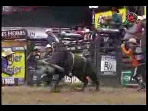 travis briscoe vs cat man do