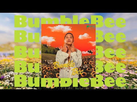 @SEavJKS ''កន្លង់ '' BUMBLE BEE ( Official Audio )
