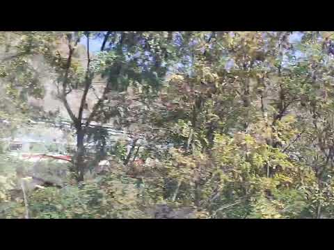 IC 701 fra Tito e Potenza