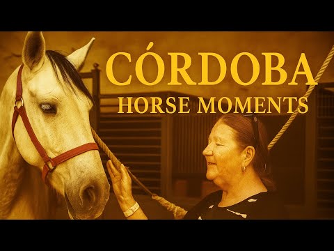 Andalusian Horses Dance Flamenco in Ancient Cordoba