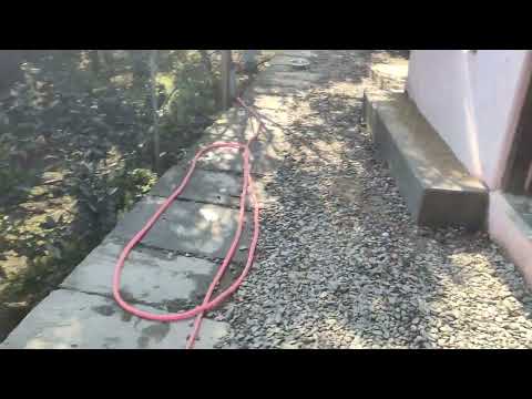 flower planting at prabal mama house