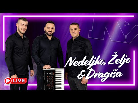 Nedeljko, Željo i Dragiša - Igraj, pevaj, luduj, Dinara (Miks) - Uživo 2025