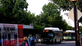 preview picture of video 'Ride-On (Montgomery County Transit): Bus Observations at Shady Grove [M] Station'