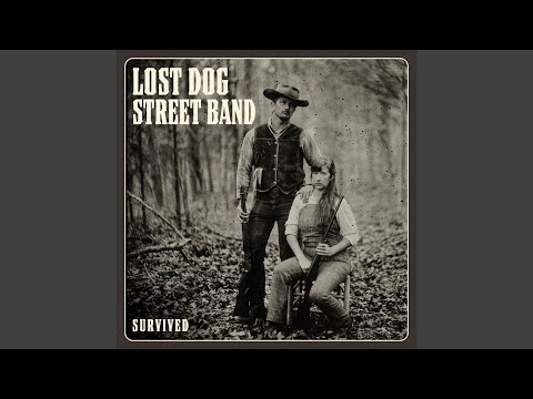 Divine To Be - Lost Dog Street Band