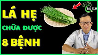 8 Benefits of Chives to Cure 8 Most Common Diseases - Useful Health Channel