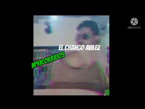 Victor Carrisoza - El Chango Avilez 🌲