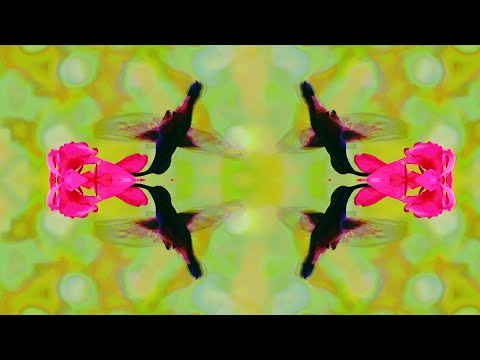 MARYLIEN X - RAVE HUMMINGBIRD [HYPER012] (Official Video)